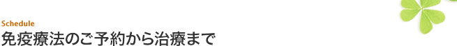 免疫療法のご予約から治療まで